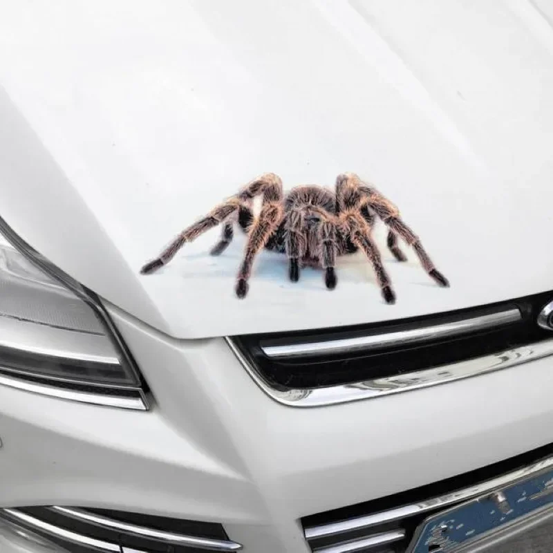3D Car Sticker Anim…