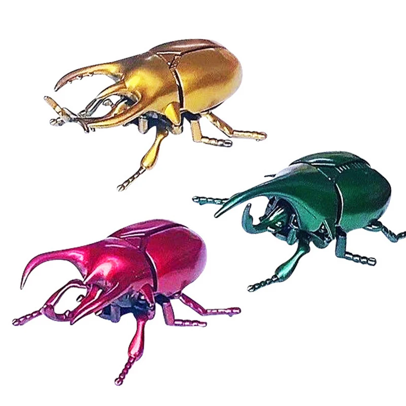 Clockwork Wind Up Beetle Brinquedos, Estatueta realista, Coleção Modelos Animais, Figuras simuladas