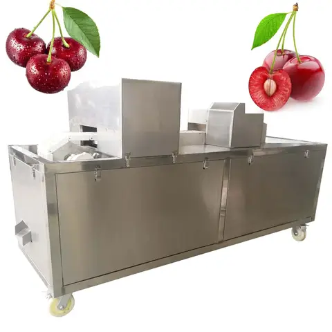 Industrial Professional Plum Cherry Peach Apricot Pear Pitter Pitting Stoner Machine Motor High Efficiency Stainless Steel Plum