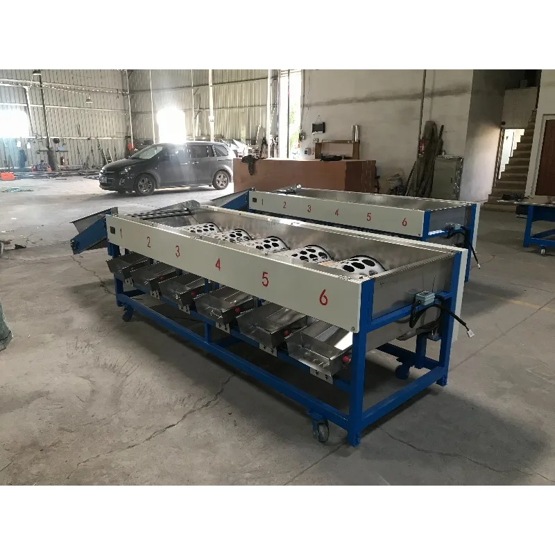 Industrial Rotary Drum Fruit Sorting Machine 6 Grade Size Grading Sorter With Roller Feeding Conveyor For Fruit Processing Line
