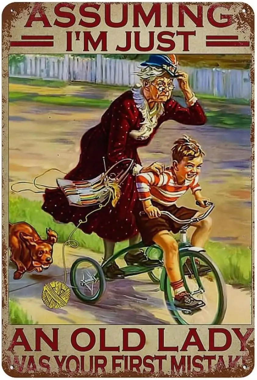 Retro Tin Sign Knitting Old Women Assuming Im Just And Old Lady Was Your First Mistake Metal Tin Sign Aluminum Sign For Hom sign