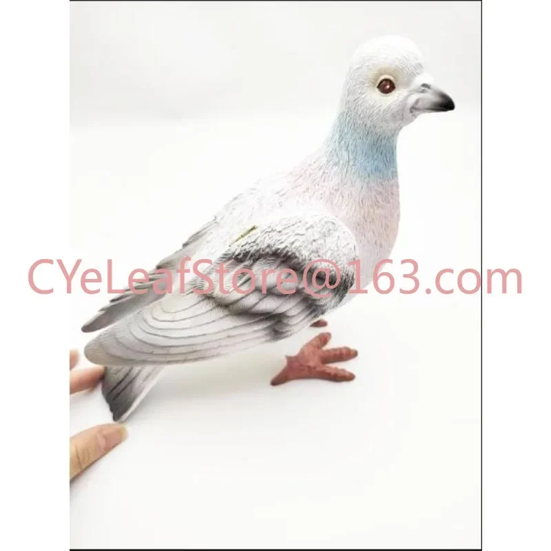 Pigeon Handbags Are Hot Selling Creative Leisure Multifunctional