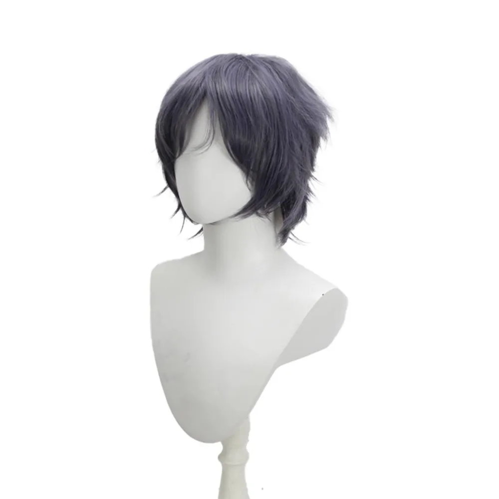 Perruque de cosplay FFXV Noctis - Perruque synthétique de cheveux d'anime Final Fantasy 15 Prince bleu gris