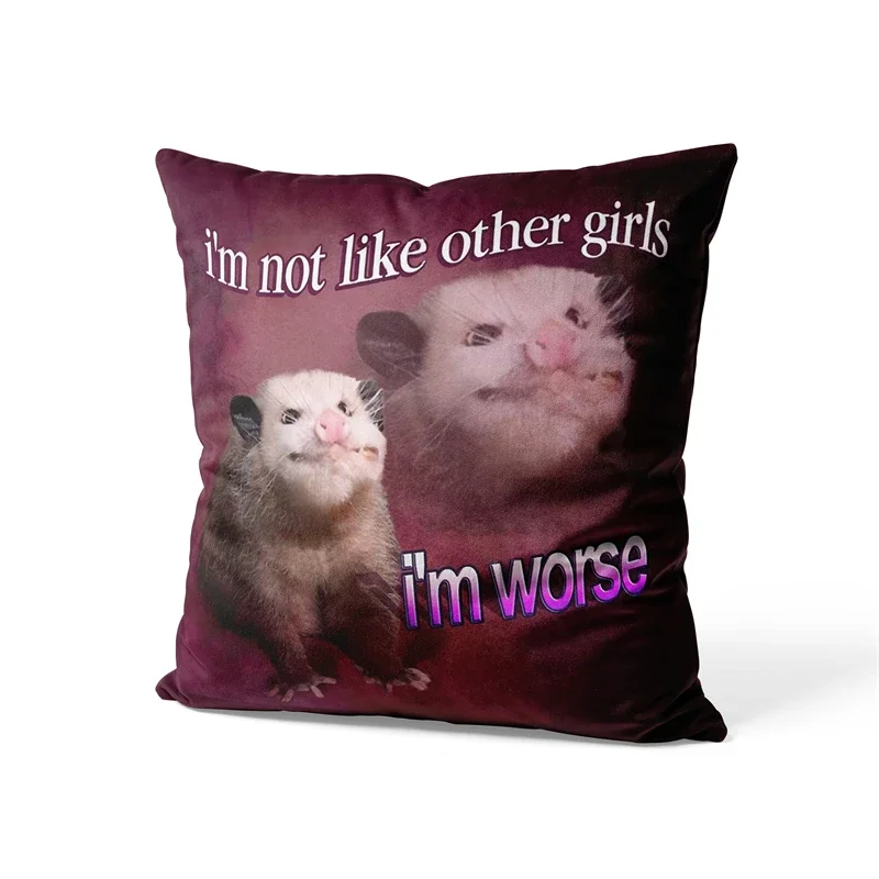 Aertemisi 18'' x 18'' I'm Not Like Other Girls I'm Worse Opossum Throw Pillow Cushion Covers Cases Pillowcases 45cm x 45cm