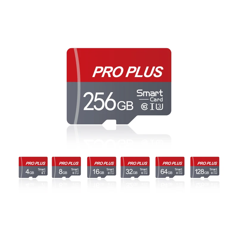 

Micro TF/ SD Card Class 10 High Speed Memory Cards Stable Performance SD Memory Card for Phones/Digital Camera/MP3 Player