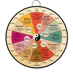 Organ Clock Knowledge Wall Art Round Retro Metal Tin Sign 24 Hour Circadian Clock Poster, Chinese Medicine Healthy Wall Art Vint