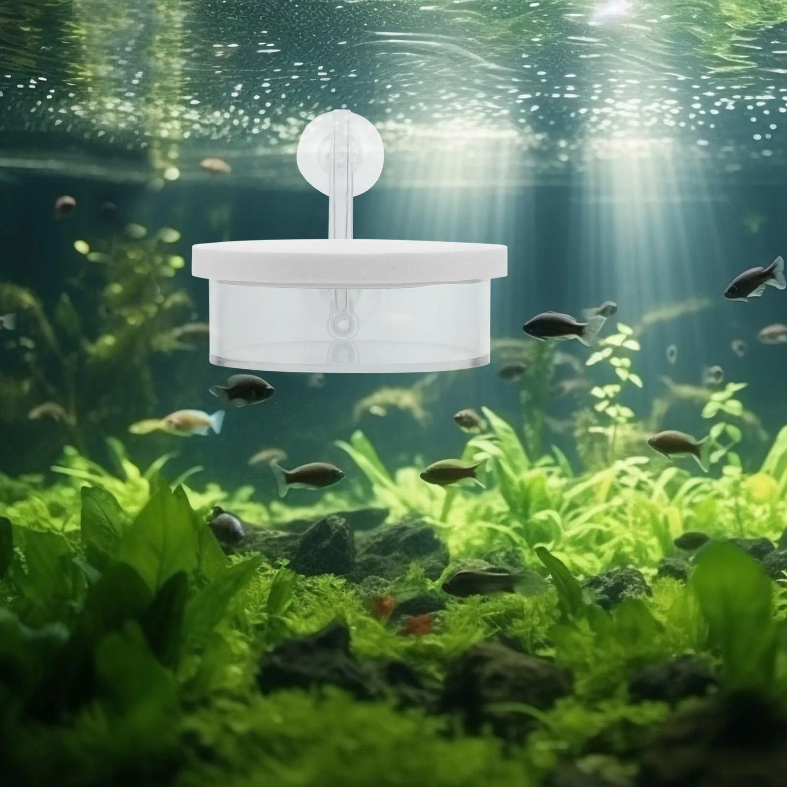 

Fish Tank Oxygen Bubble Stone Durable Acrylic Diffuser Aquarium Oxygen Efficient Dissolving Aquarium Plant Fish Shrimp