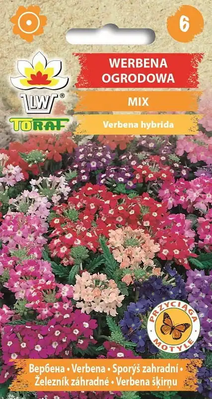 Garden verbena mix flower seeds for home and garden 0.3g-TORAF