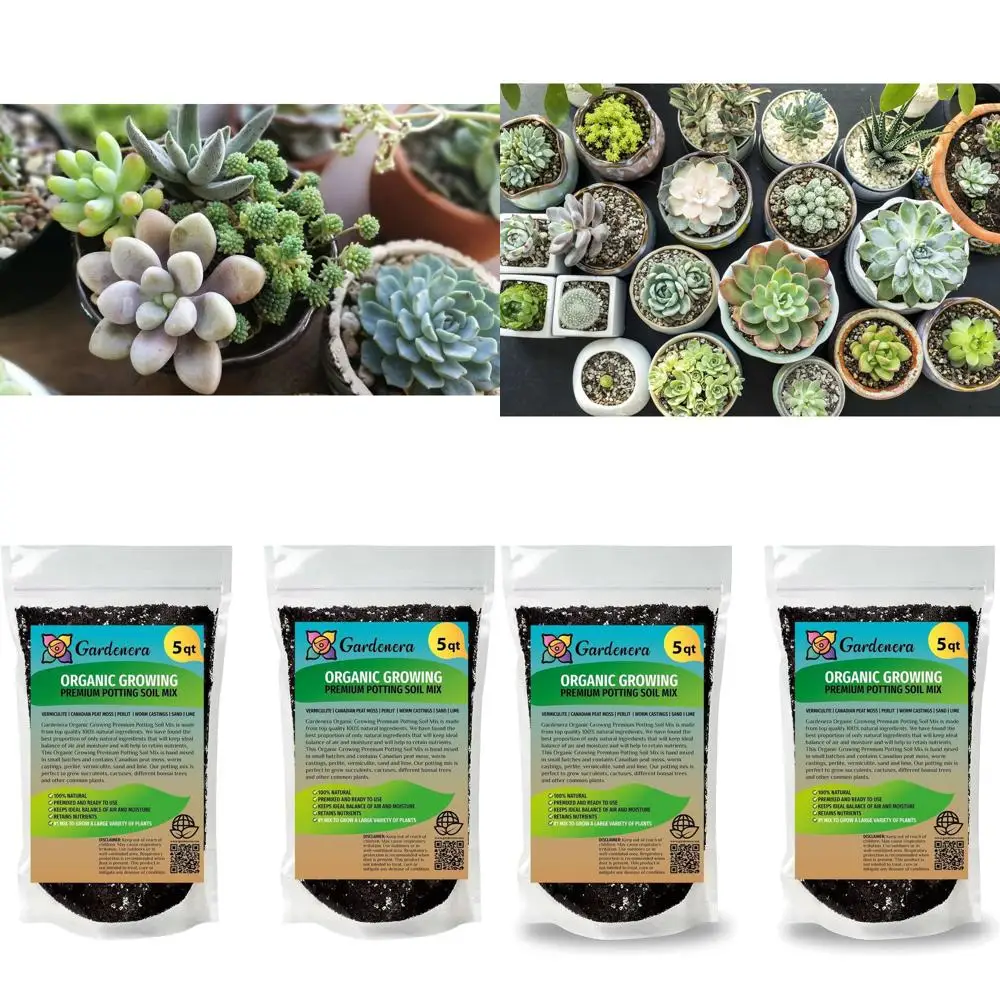 

Органический грунт для растений - Выращивайте роскошные растения с помощью этого премиального смешения - 10 кварт