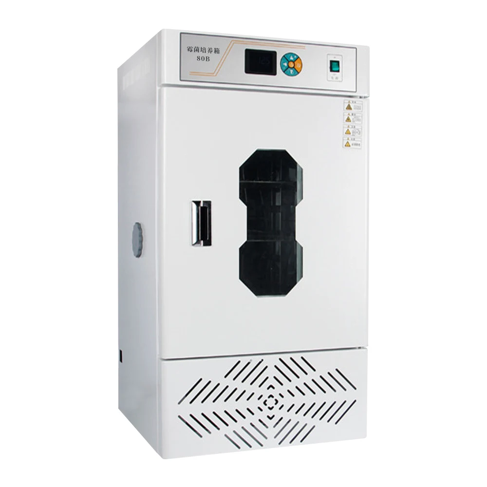 Factory Direct Wholesale Thermostatic Laboratory Devices 50L 80L 150L 250L 350L 450L Constant Temperature Microbial Incubator