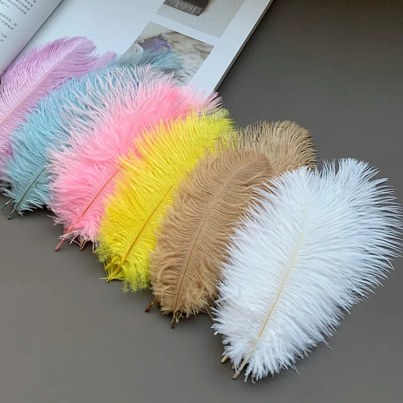 

Natural White Ostrich Feather 15-20cm Plumes for DIY Clothes Crafts Dream Catcher Wedding Decorations Soft Ostrich Feathers