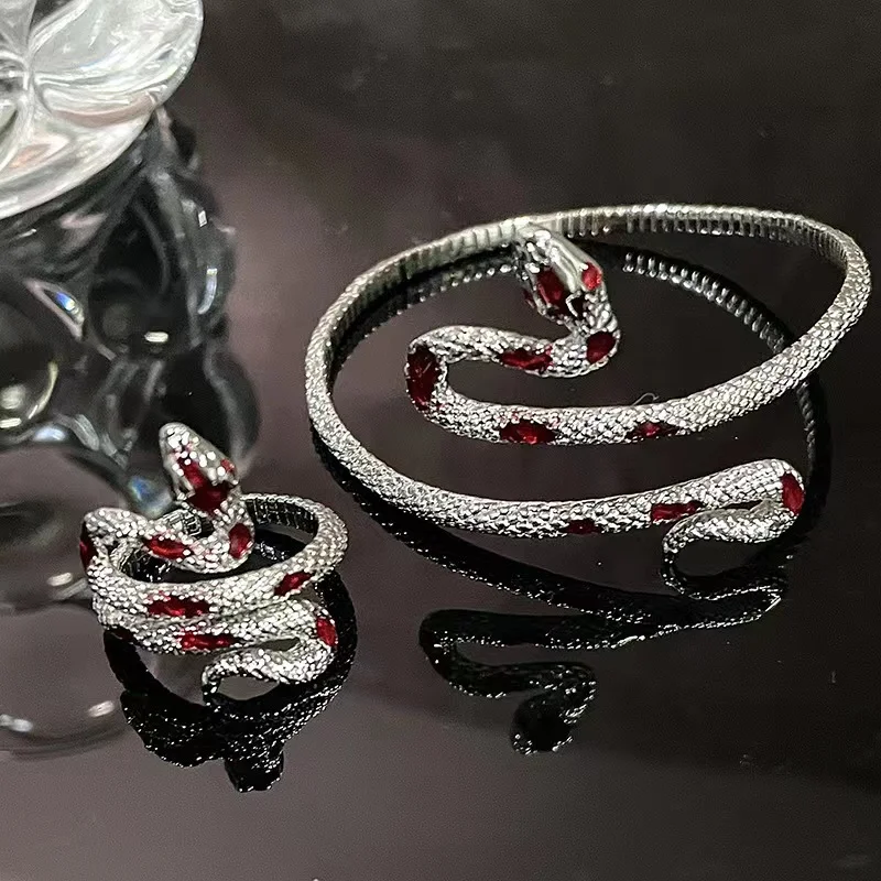 2025 Fashion Cute Snake Bracelet Bangle for Women Ring Bracelets Blessing New Year Silver Color Jewelry Gift