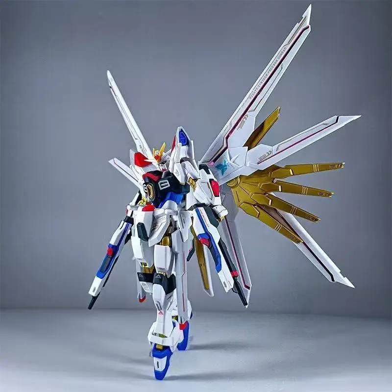 HG 1/144 Extraordinary Strike Freedom Assembly Model Kit Action Figures Collectable mecha Toy Ornaments Anime Statue Boy Gift