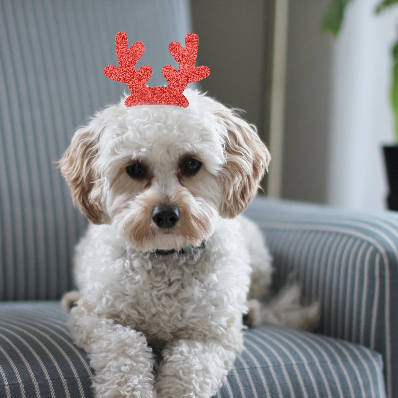 

3Pcs Christmas Pet Hairpin Creative Decorative Headwear Red Comfortable Holiday Party Pet Headband Festival Hairwear Accessory