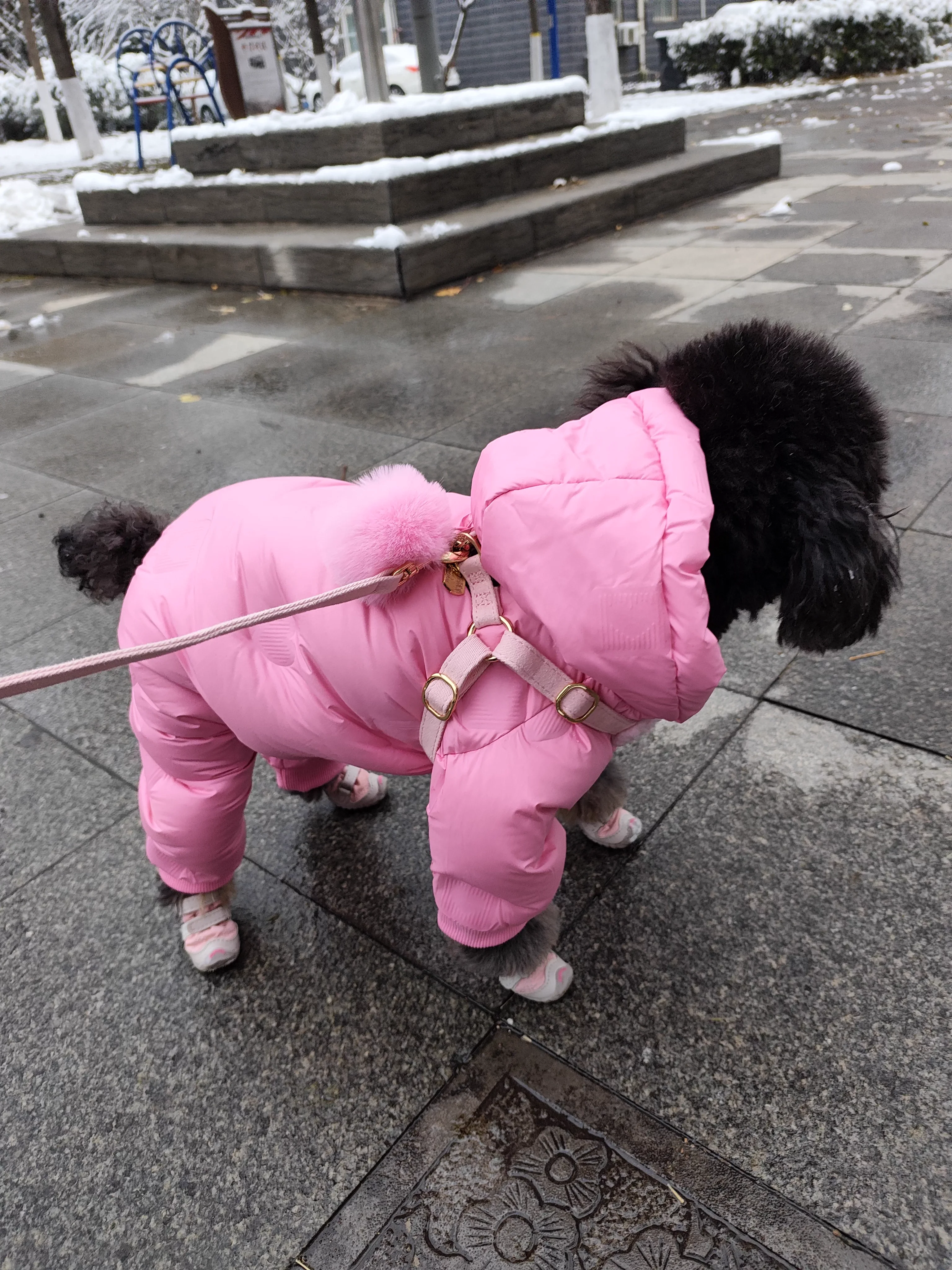 Autumn and Winter Pet Pink Four Leg Cotton Jacket Pet Schnauzer Bear Small and Medium Sized Dog Clothes for Small Dogs