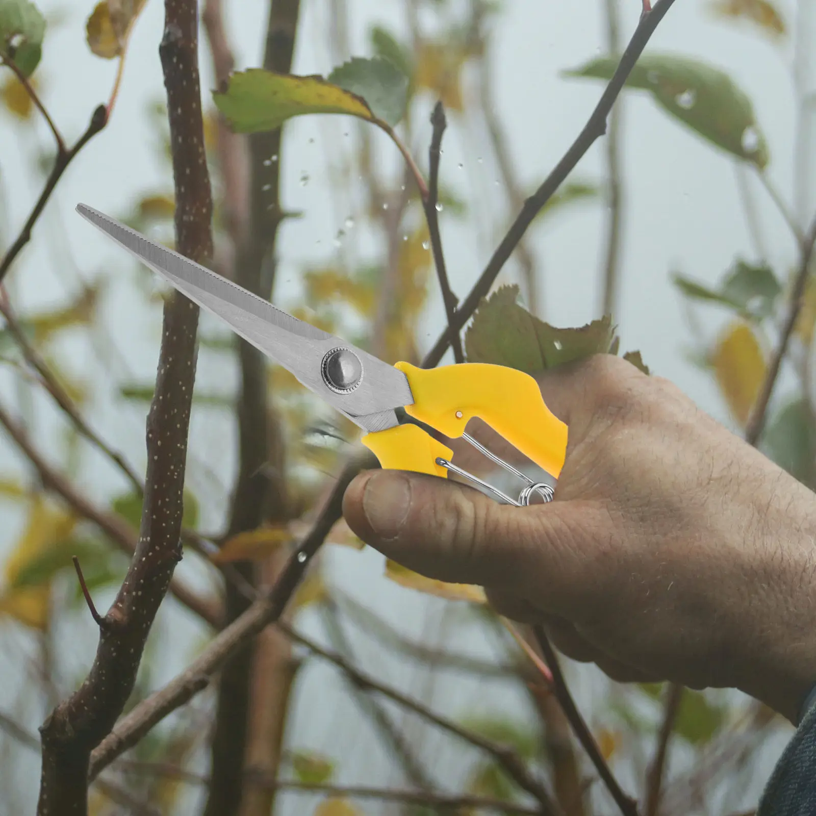 

Garden Pruning Shear Stainless Steel Lightweight Handheld Plant Trimming Scissors Fruit Shear Flower Clippers Gardening Tools