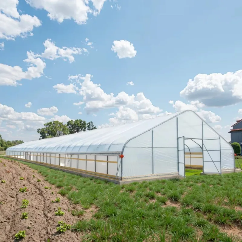 Tienda de campaña de jardín con invernadero de película de PE galvanizada W30ft L30ft H12ft, transmitancia de luz 92% para cultivo de plantas agrícolas