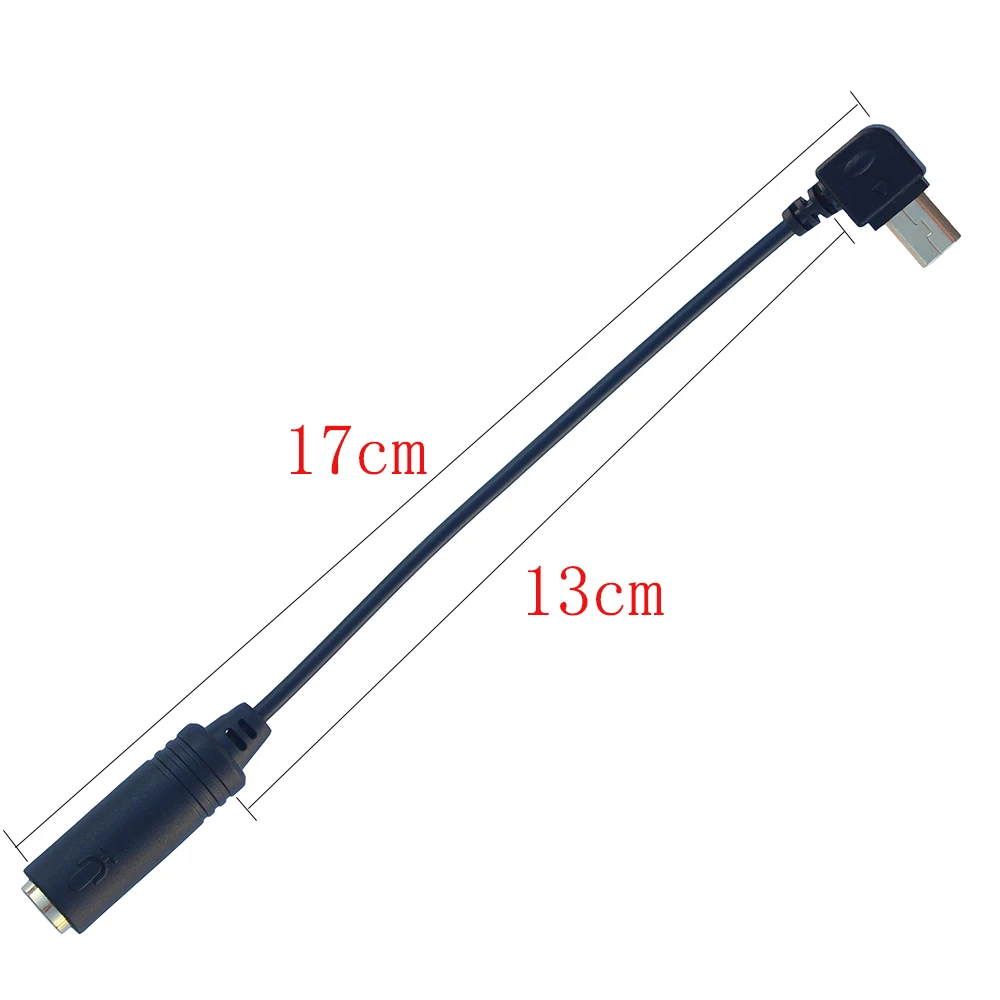 Mini 10 Pin USB To 3.5mm External Microphone Adaptor For GoPro Hero 3/3+/4 Camera