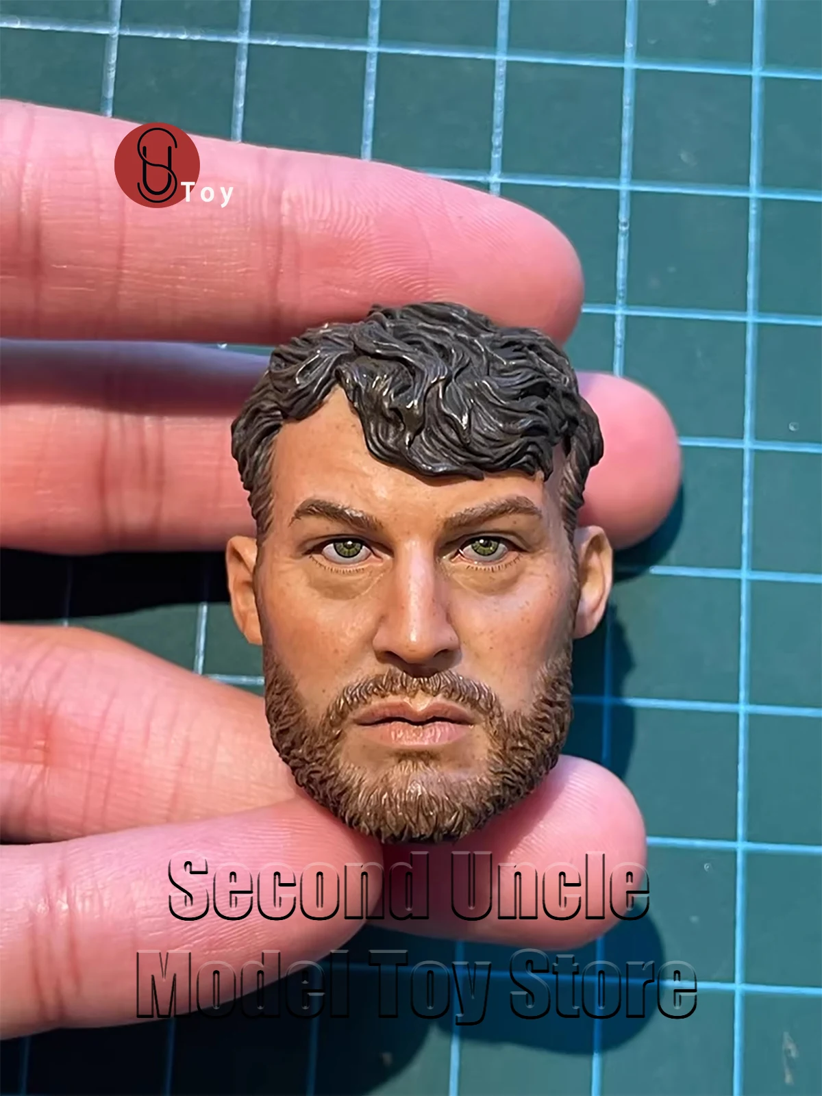 

DAMTOYS DAM 78012 1/6 head sculpt model Suitable for 12 inch model toys