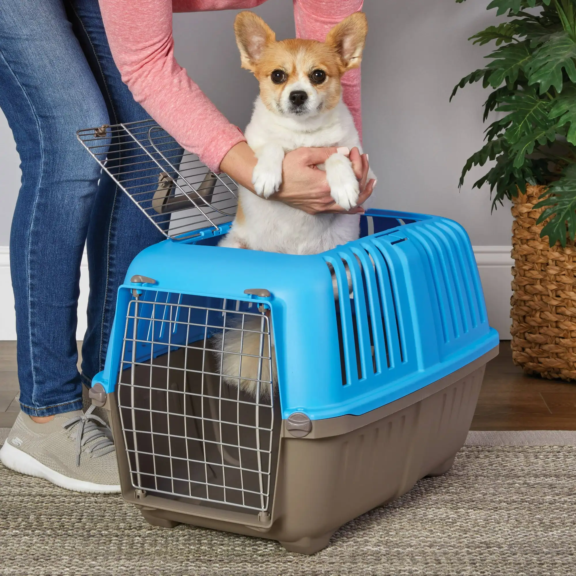 

Top Door Spree Travel Pet Carrier for Dog/Cat with Steel Door, Blue