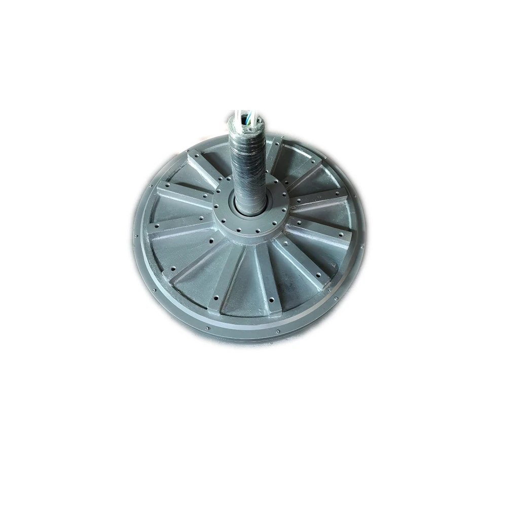 25kw 50kw 65kw Water Power Coreless Disc Axial Flux Magnetic Generator for Vertical Wind Turbine