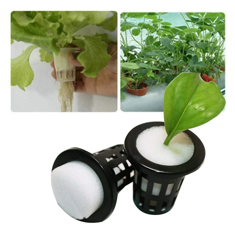 AB33-100 Pcs Hydroponic Sponge Overground, Soilless Hydroponics Vegetable Growing System Greenhouse Plant Gardening Tool 50Mm