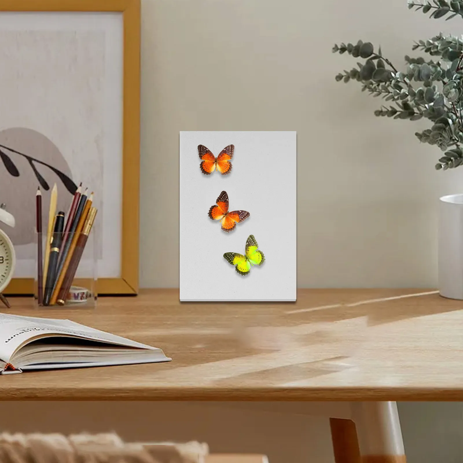 3Pcs Insect Specimen Pinning Board Eva Material Butterfly Wings Spreading Science Education Display Mount Kit Insect Pinning Kit