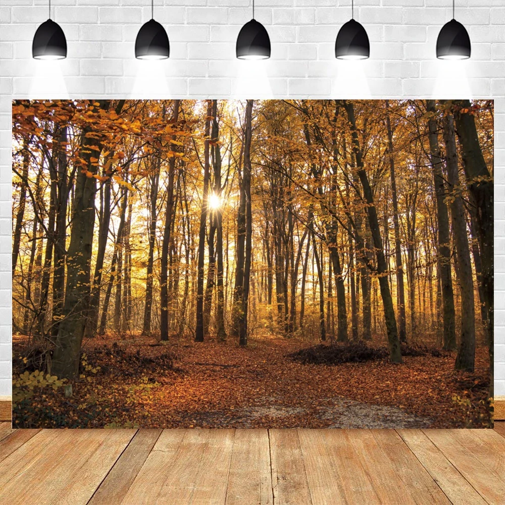 الخريف الغابات سلسلة التصوير خلفية مخصصة سقوط الأوراق المتساقطة المناظر الطبيعية صورة خلفية استوديو الصور الدعامة راية
