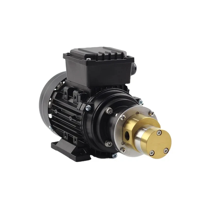 Cheap Wholale High-power v Miniature Oil Transfer Pump
