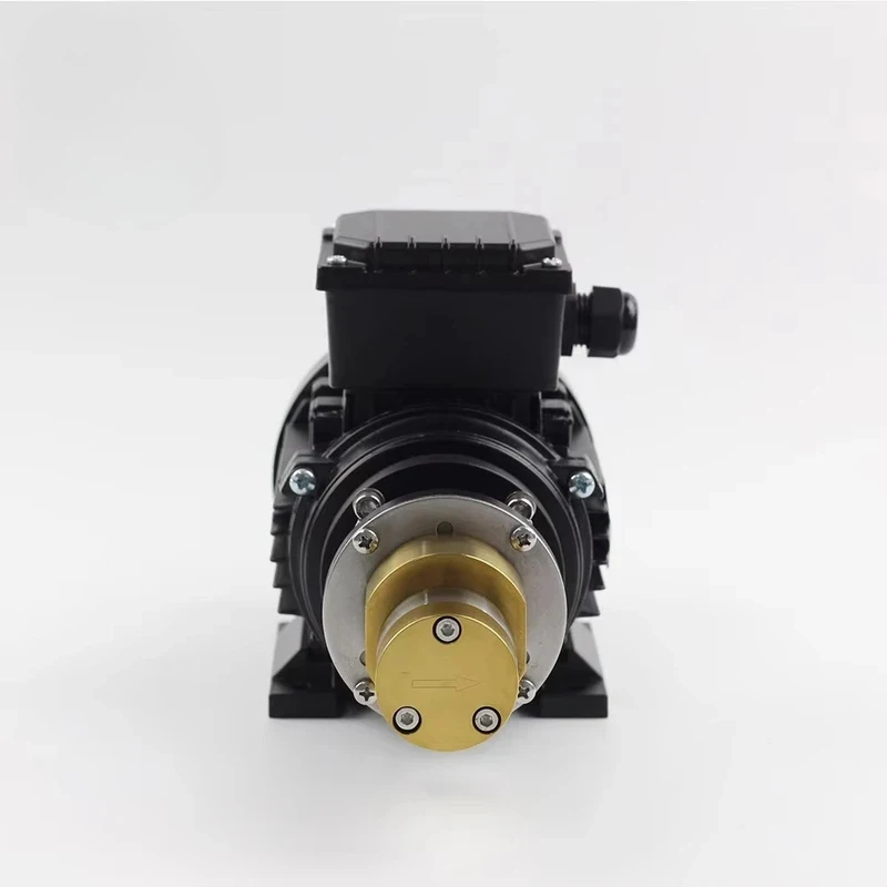 Cheap Wholale High-power v Miniature Oil Transfer Pump