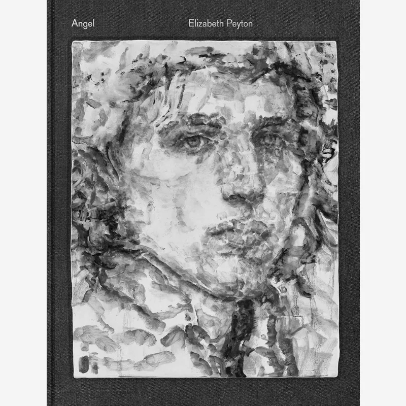 

Элизабет Питтон Ангел Элизабет Питтон Лукас Звиннер Автор Дэвид Завиннер Книги 9781644231340 Книга