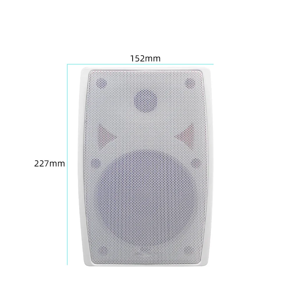 Affordable Fixed Installation Wall-mount Speakers - Experience High-Fidelity Sound Quality for Immersive Entertainment