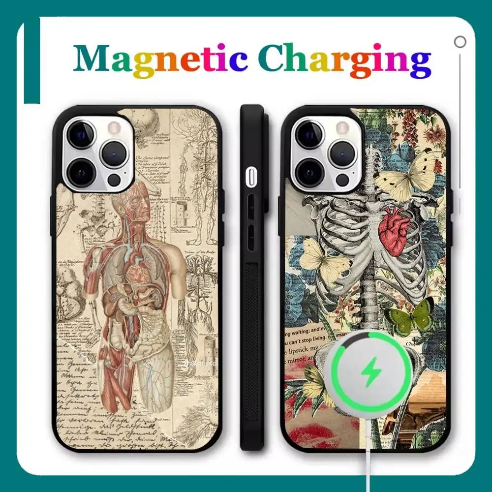 

Medical Human Anatomy Phone Case For iPhone 17,16,15,14,13,12,11,Pro,Max,Plus,Mini,Air,SE New Magsafe Magnetic Wireless Charging