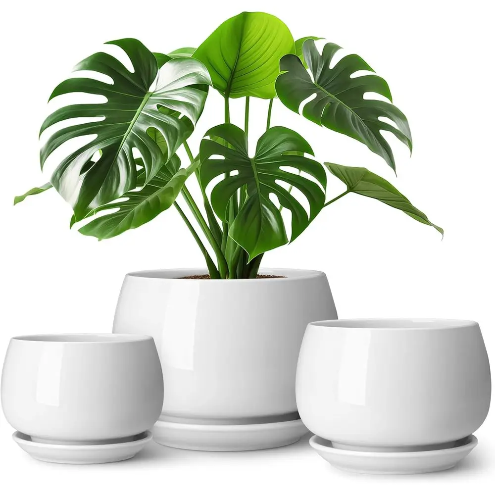 

Набор из 3-х горшков для растений Vancasso Ceic, 7.3/9.6/11.6 дюймов, для использования в помещении, с поддонами и дренажными отверстиями, для комнатных растений.