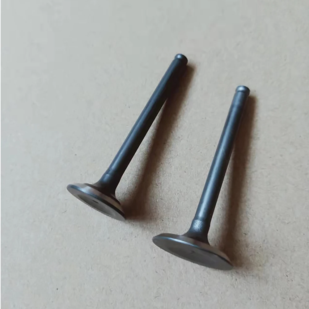 Outboard Boat Motor Intake And Exhaust Valve Original Spares For PARSUN 4 Stroke 6HP Boat Engine Part