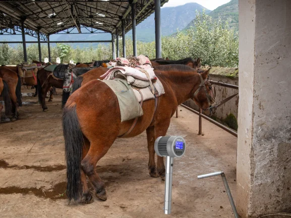 

Instant Start Laser Device COZING-T05: Innovative Home Treatment for Muscle Spasms, Stiffness & Small Animal Care