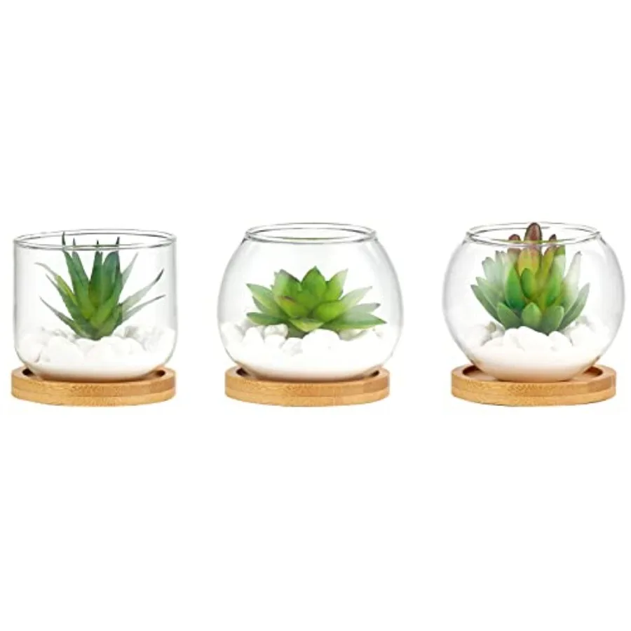 

Искусственный сочный горшок из прозрачного стекла 3, мини-поддельные растения в горшках для женщин, офиса Dr, маленькое искусственное зеленое растение с бамбуковым подносом для