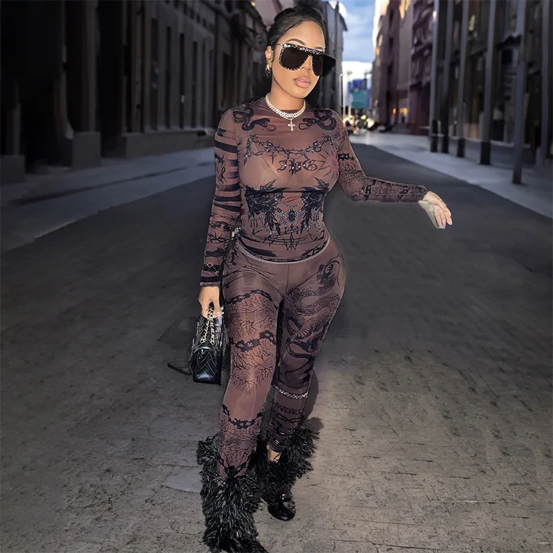 

2025 Spring Sexy Mesh Printed Sheer Skinny 2 Piece Set Women O Neck Full Sleeve Slim T Shirt High Waist Pencil Pants Streetwear