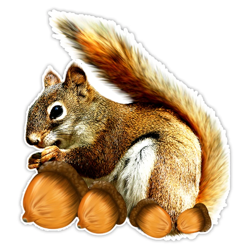 S50278#13/15/17CM Personality PVC Decal Squirrel Car Sticker on Motorcycle Laptop Decorative Accessories