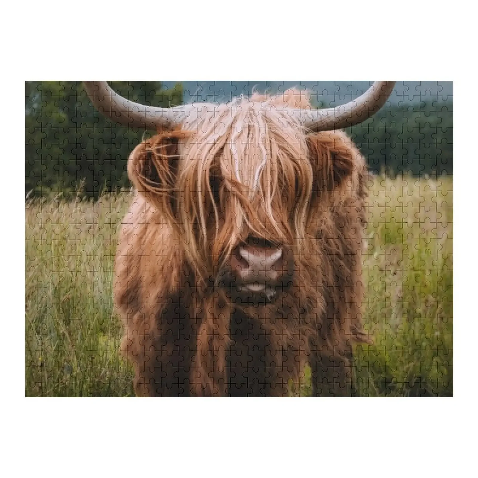 

Wooly Cow – Scottish Highland Cattle in Scotland Jigsaw Puzzle Wood Animals Baby Toy Puzzle