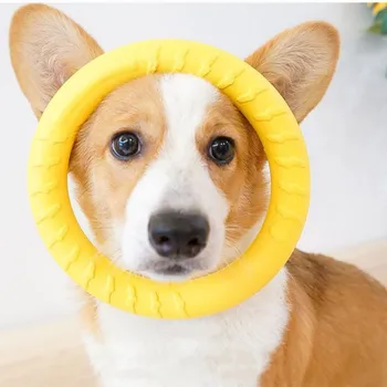 Dog Ring Fetch Toy 2