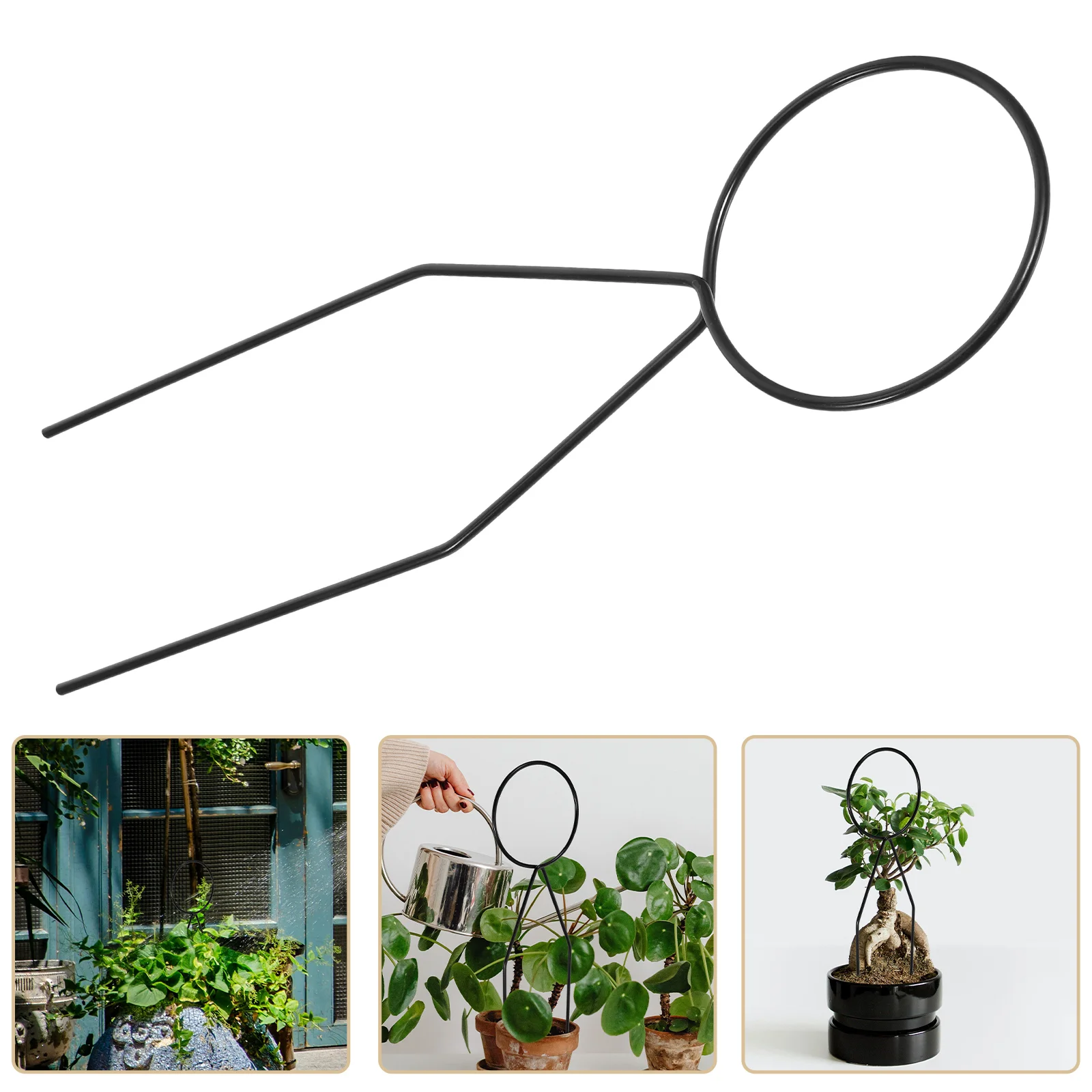 

Plant Climbing Frame Support Clips Plants Stake Holder Garden Trellises Flower Iron Arched