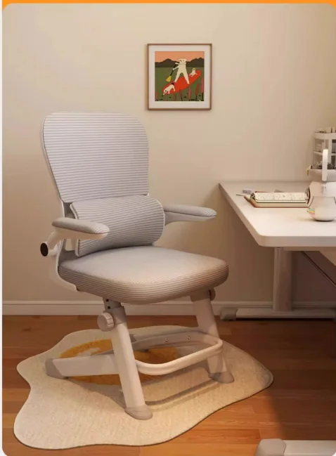 & Ergonomic Study Chair for Teenagers & Middle/High School Students, Adjustable Height Desk Chair for Long Sitting