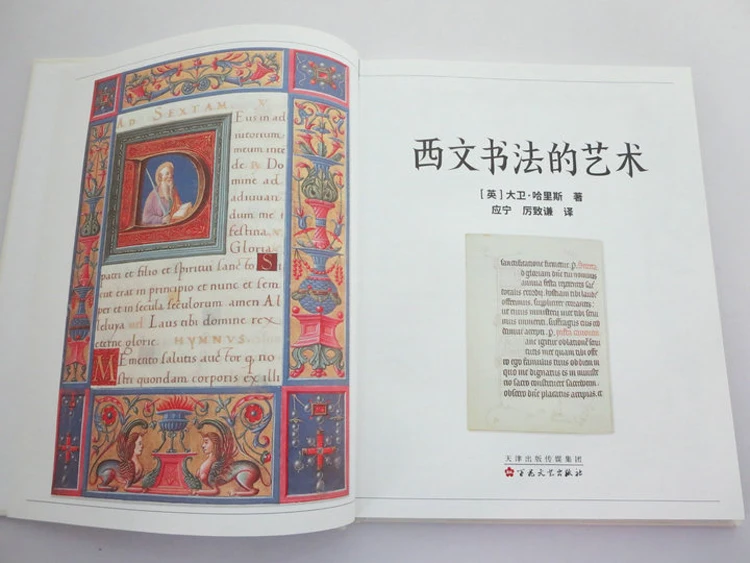The Art Of Calligraphy David Harris Art Word Design Practice Font Gothic writing in English Book