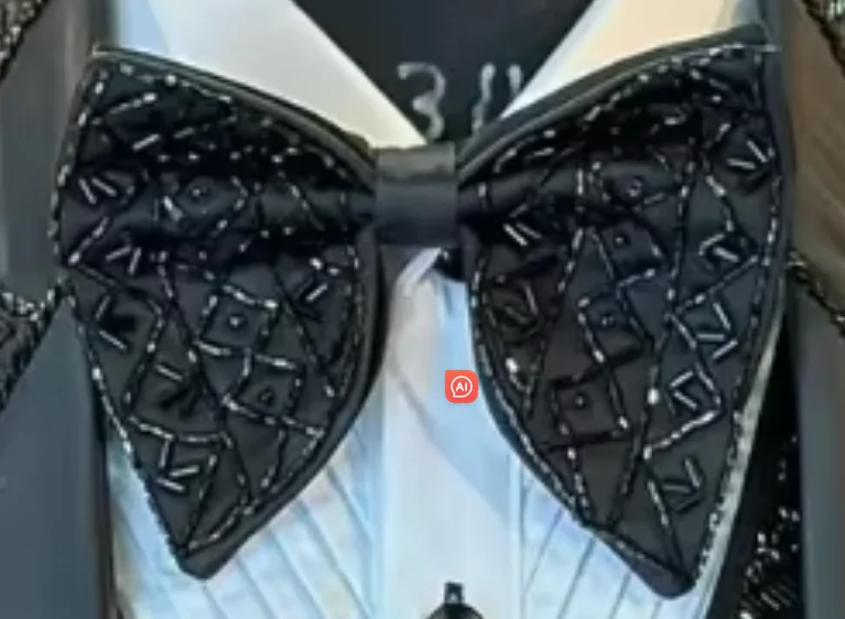 

bow tie（Only one bow tie does not contain other items such as a suit）