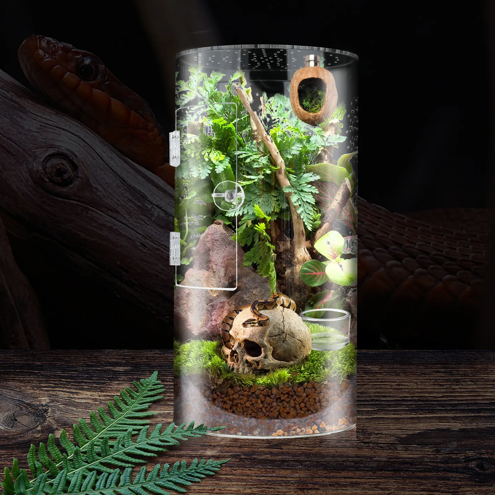 Jumping spider fence cylindrical pet box reptile feeding box with front door cross-border pet feeding box