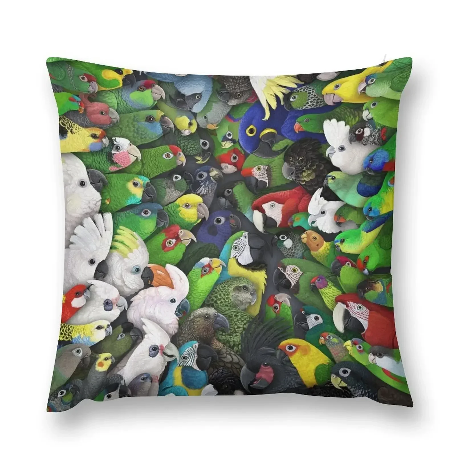 

Parrot Species: Australia and South America Throw Pillow Cushions Home Decor Cushions For Sofa pillow