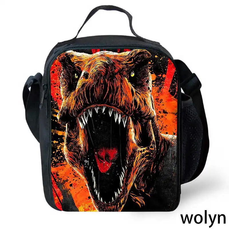 Dinosaur Printed Lunch Bag for Child Custom Large Capacity Kids Picnic Bags,Insulated Meal Bag for Pupil Students