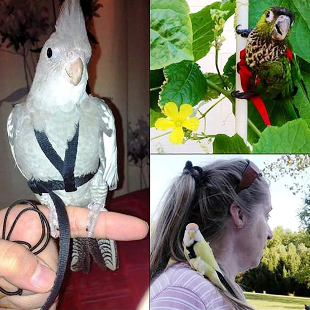 Black Adjustable Parrot Flying Harness Comfortable And Easy To Wear Made With Nylon Parrot Harness