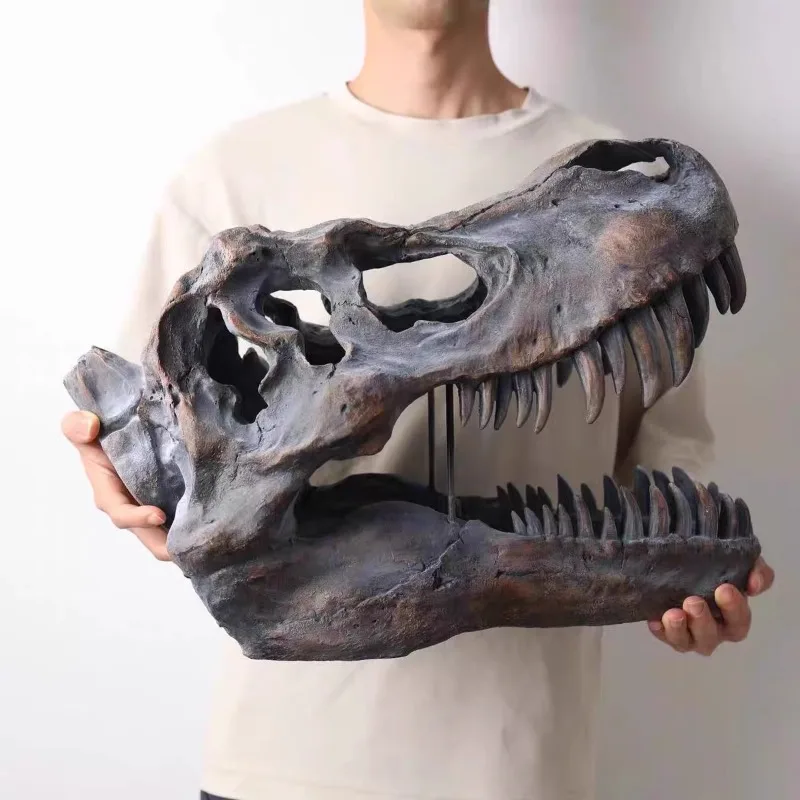 Tyrannosaurus rex skull tide play ornament simulation dinosaur